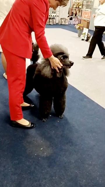 0991b497f80015b2c0762313b796cb90