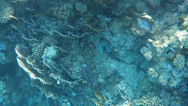 991714cdda5650c7c279d4c32ef4a97b