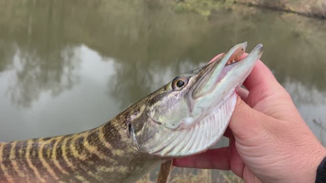 2e9c81760b7749c5d3e7ac66da50c754