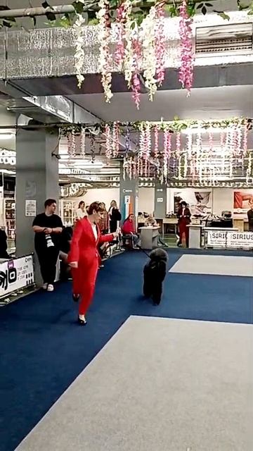 603b211425d4bb2a3ff7428d2eb6a94c