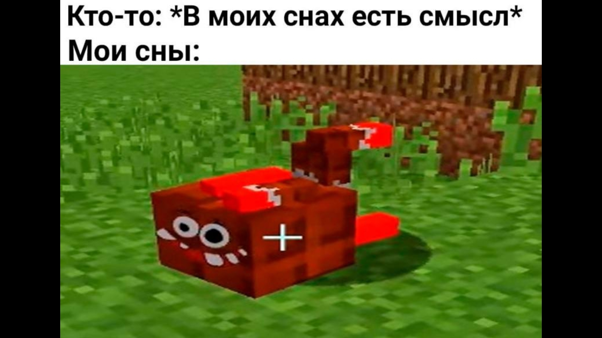 мемы с владусом и Лёней 😂😂😂😂