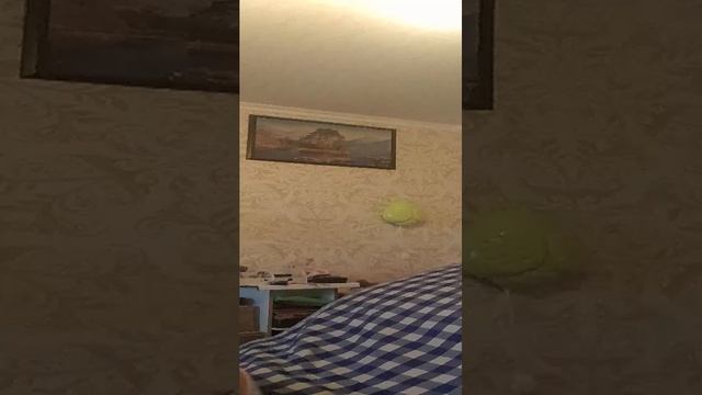 ш