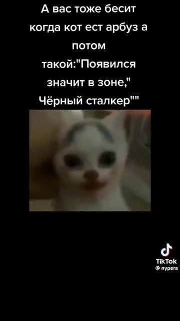 появился значит в зоне чёрный сталкер