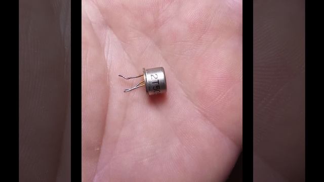 Найдено ЗОЛОТО! Советское Наследие!