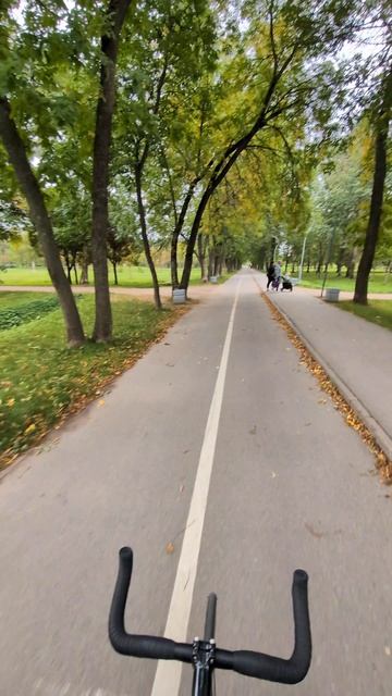 ЖИЗА / жизнь автоблогера #ЖИЗА