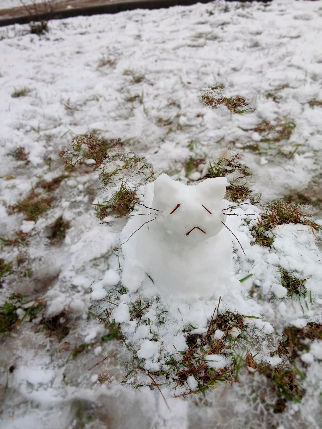 1fb067178920fafd871a9f513deb8f18