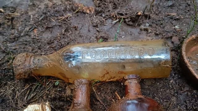 Откопал редкую молочную бутылку