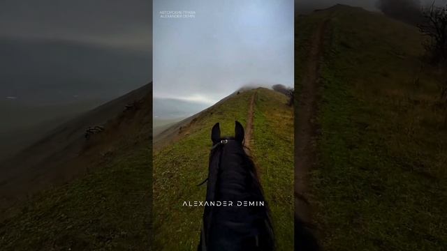 DJ Alexander Demin - Ты помнишь