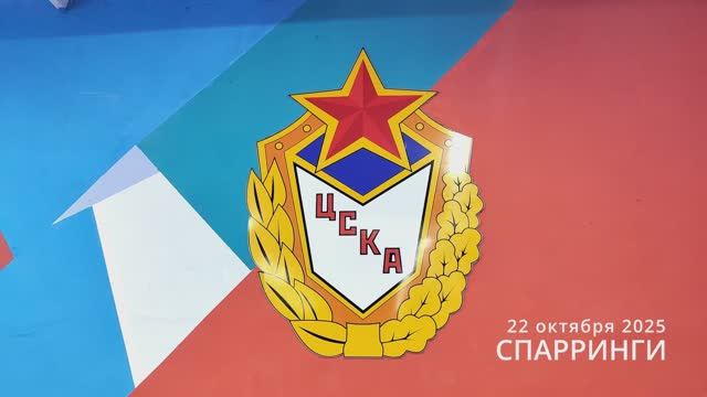 22 ноября 2025 - Тренировочные спарринги в субботу. Тхэквондо