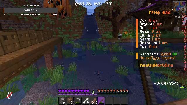 играем в майнкрафт на сервере REALLYWORLD