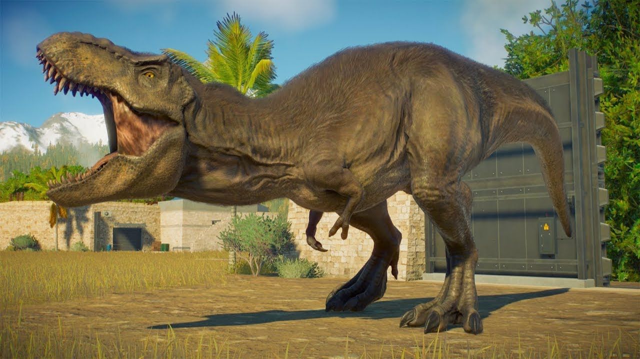 C50a4878c23f74763661d3a0607781be