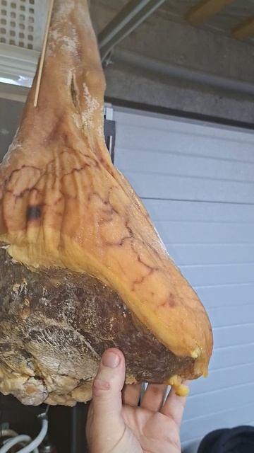 молодой хамон, выдержка 10 месяца