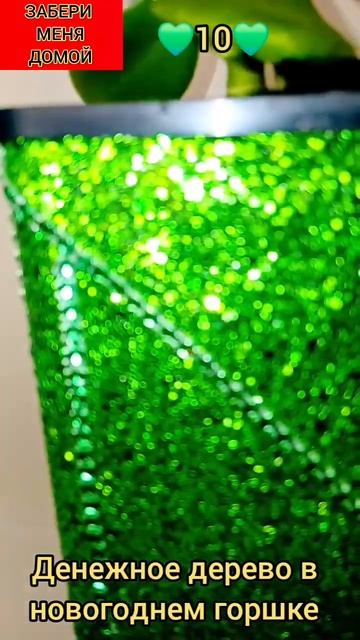 цветок в новогоднем горшке!