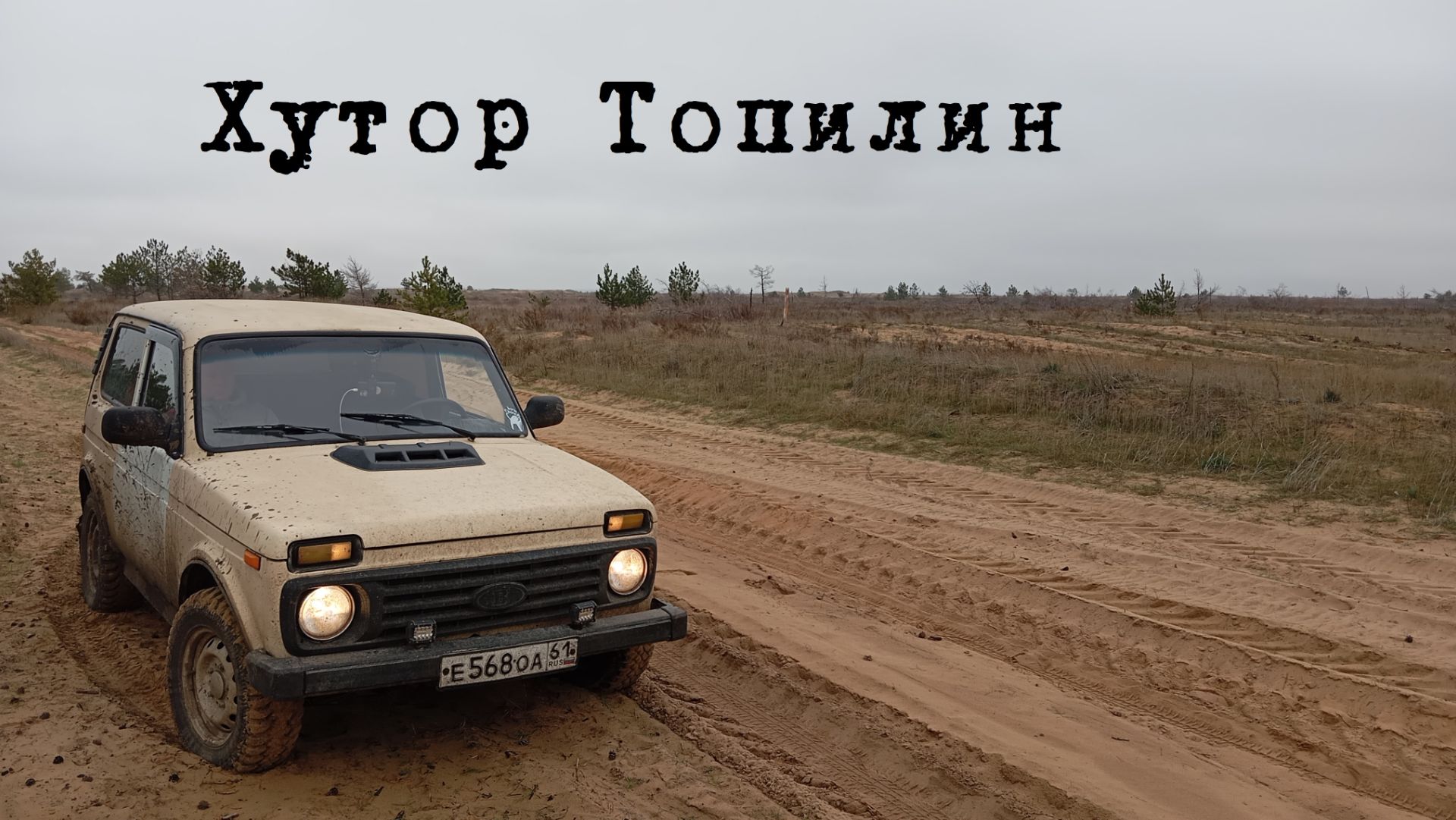 Топилин