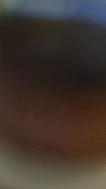 Застыла в янтаре, котором N-миллионов лет