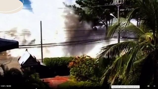 Разрушительная волна цунами. 24. 11.