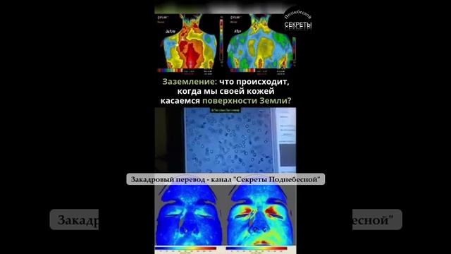 Вот почему урбанизация приобрела такие огромные масштабы