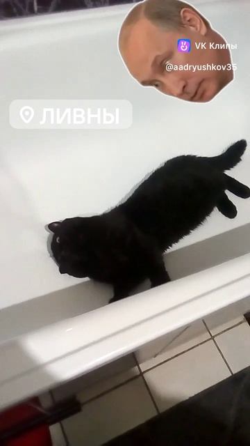 перед ваными  процедурами Феликса.