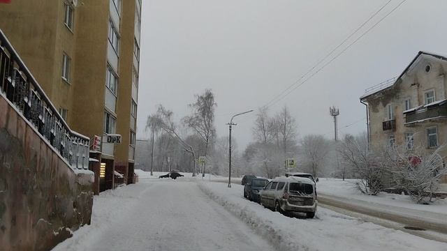 Тамара и Сибас на спец задание 😎
#голуби
#снег
#погода