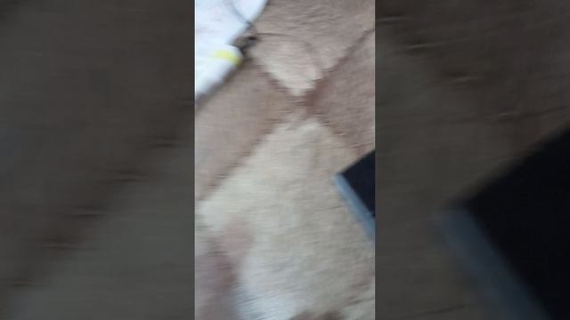 делаю хомячка 3D ручкой часть первая