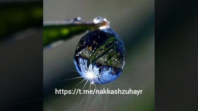 Я бы назвал... (Зухайр)