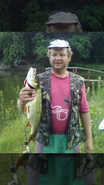 Живое фотографие, толстолоб.