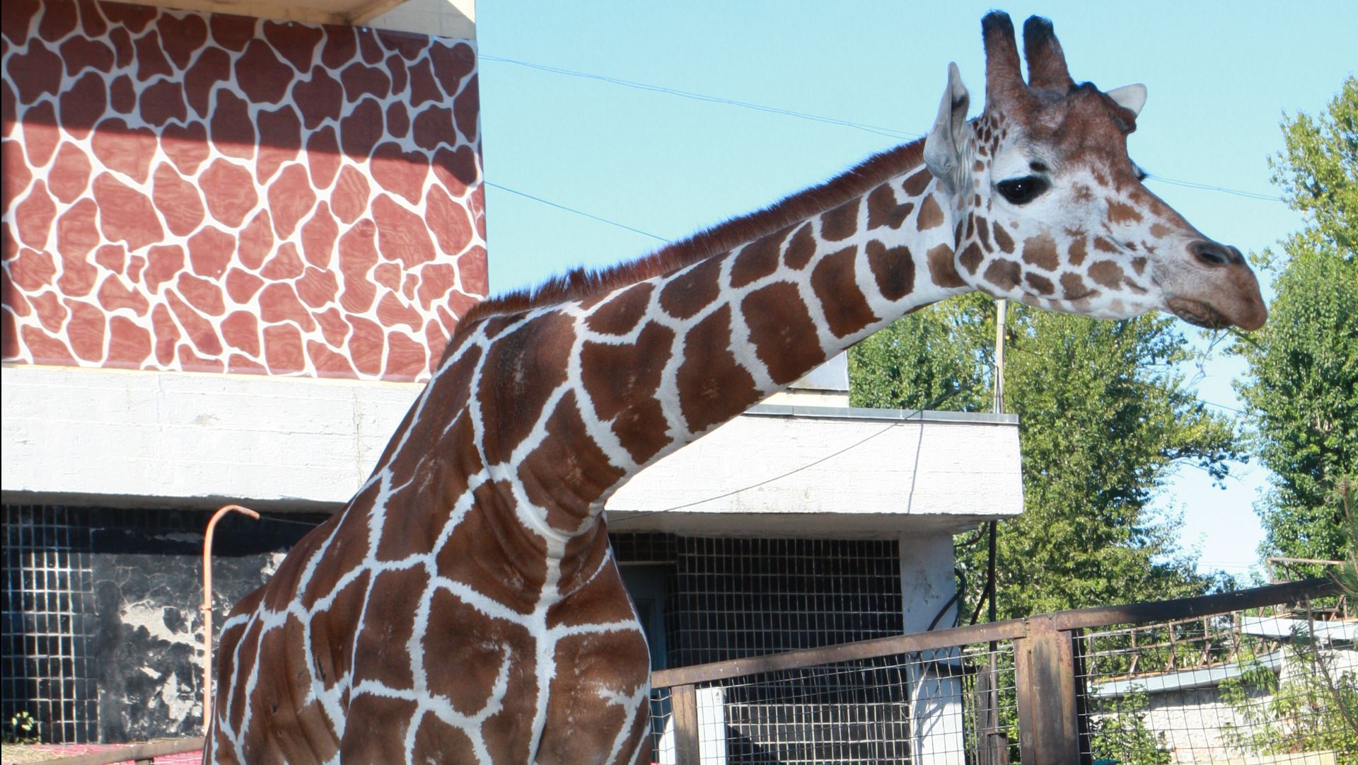 Sergey_Moderov_Terms_in_Audit_Forensic_and_finance_information_provision_Conference_speach_2025