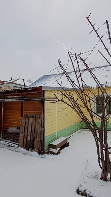 document_5274006121915388345