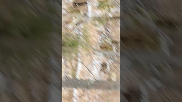 Осенний вояж. в глухую тайгу прибрежные леса около Уфы.