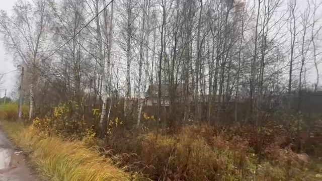 ЗУ :1000 д. Бережки