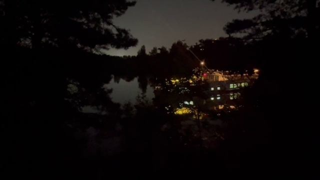 Теплоход «Амстердам» проплывает мимо причала. Серебряный Бор