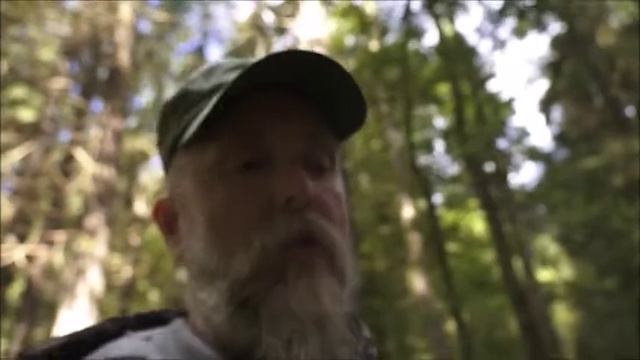 Why Are They Killing Us? (In Nice, In Munich, Etc.)