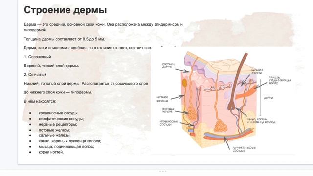 База кожа 2 серия