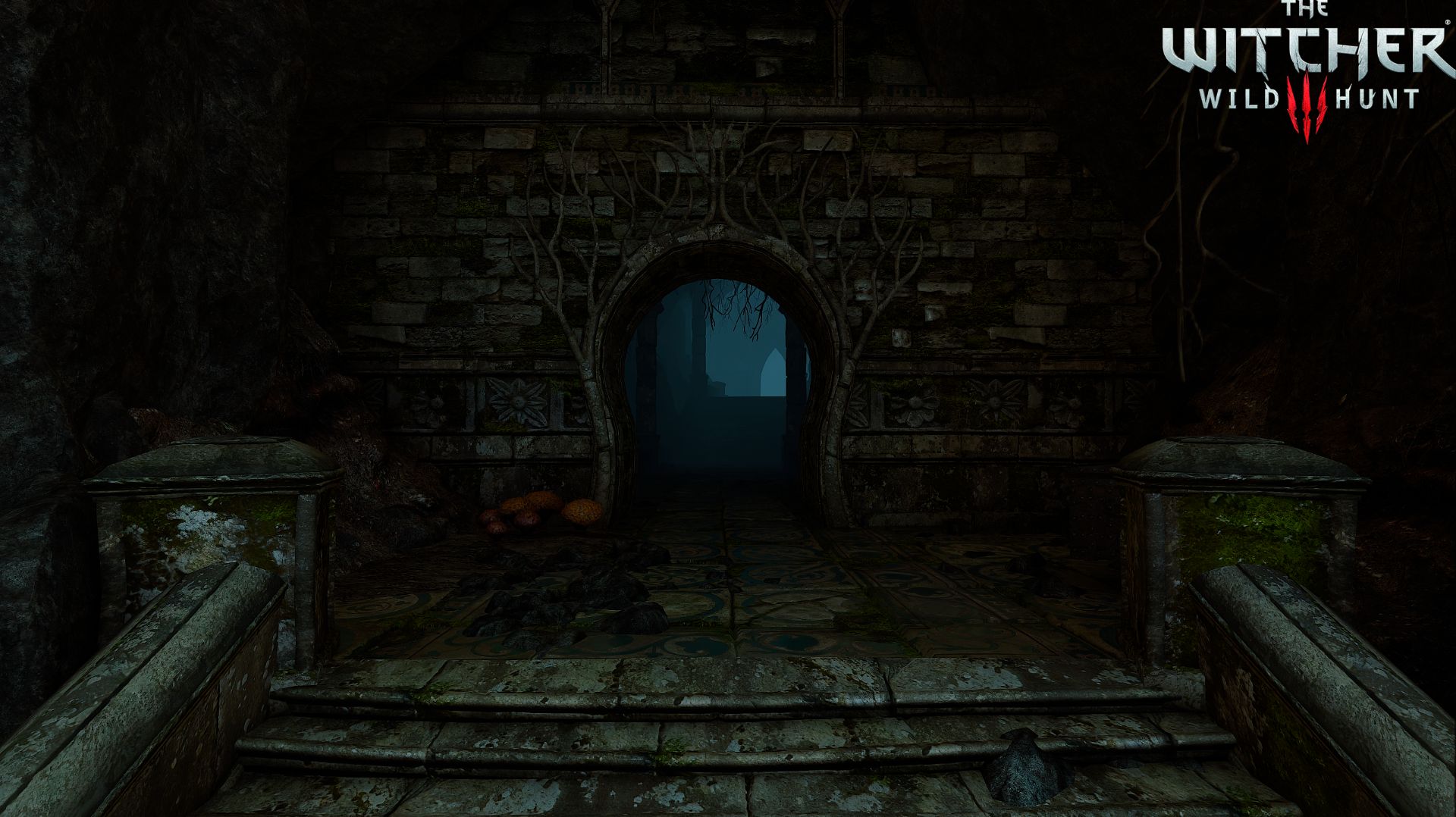 Ведьмак 3 - Выбор Трисс #24 - Солнечный Камень