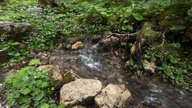 Слушая слова из Писания, вы почувствуете себя окруженными Его любовью и Ангельской охраной.