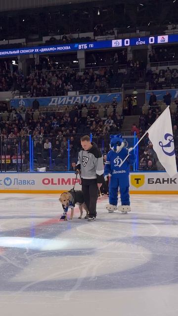 Дени на хоккее🏒