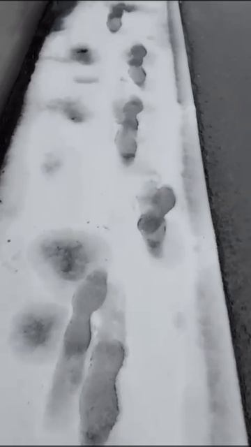 Коротко о погоде