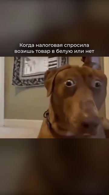 Любимые гости! #wildberries #wbселлер #продажинаwb #вббизнес