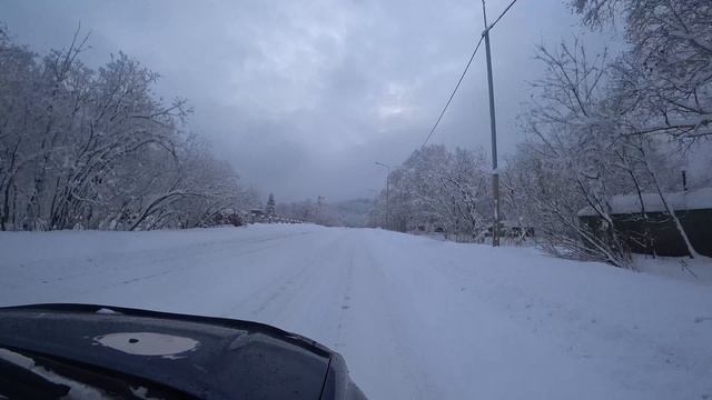 Камчатка- MVGMA, Маша и Медведи - ЗЕМЛЯ  #Земля #Kamchatka