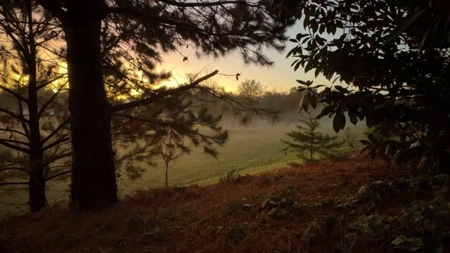Вечерняя тишина с Божьим Словом.  Библия. Исцеление_души.