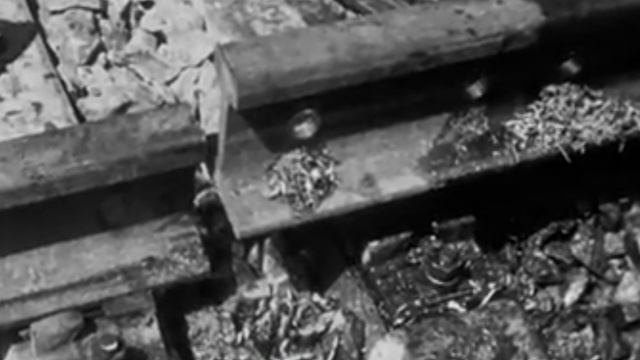 Загадочное_Крушение_Скоростного_Поезд...аря_2025_года_в_18_34_30_00_20_04._5