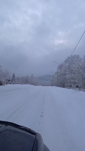 Камчатка- MVGMA, Маша и Медведи - ЗЕМЛЯ #Земля #Kamchatka