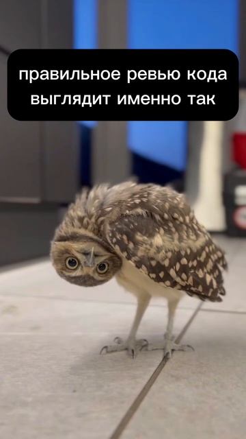 Ревью кода 🤠😃😀