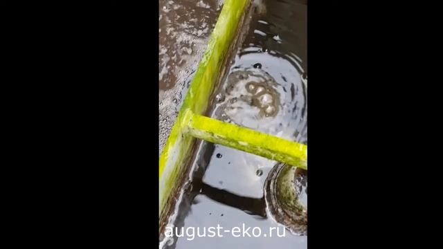 Станция АвгустЭКО 1А, эксплуатация 2 года