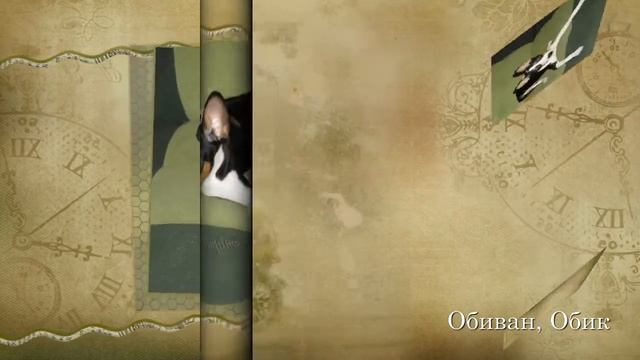 Мой небесный пес...