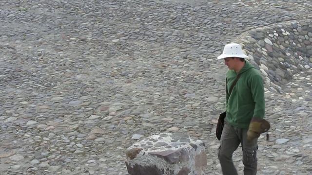 Эквадорский крикун и обжорка..А ведь орел...)))