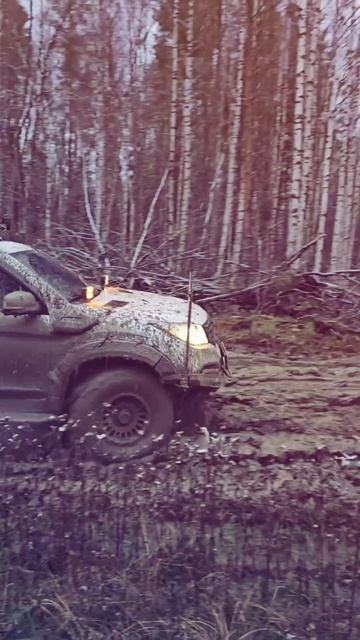 Чухломские зарисовки. Бушнево