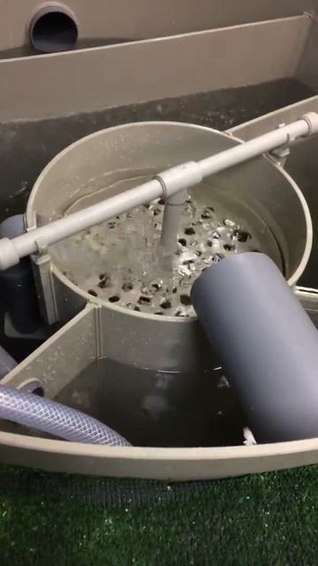 Рассказываем о работе системы August клиентам возле образца