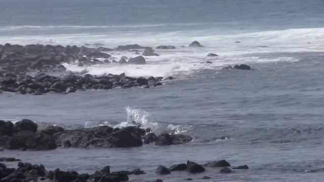 Тихоня..океан)