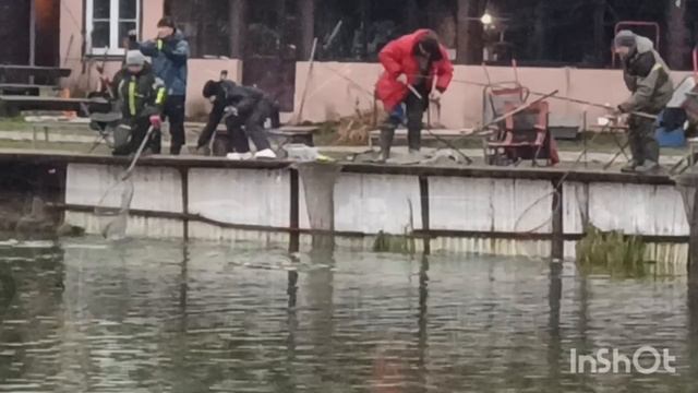 Форель в Липках